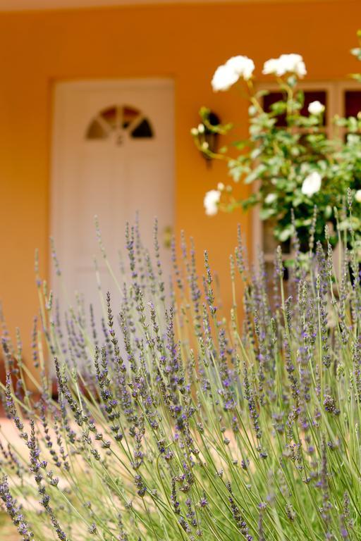 Little Tuscany Boutique Hotel Йоханнесбург Экстерьер фото